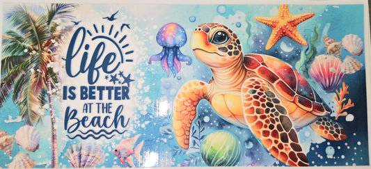 Sea Animals