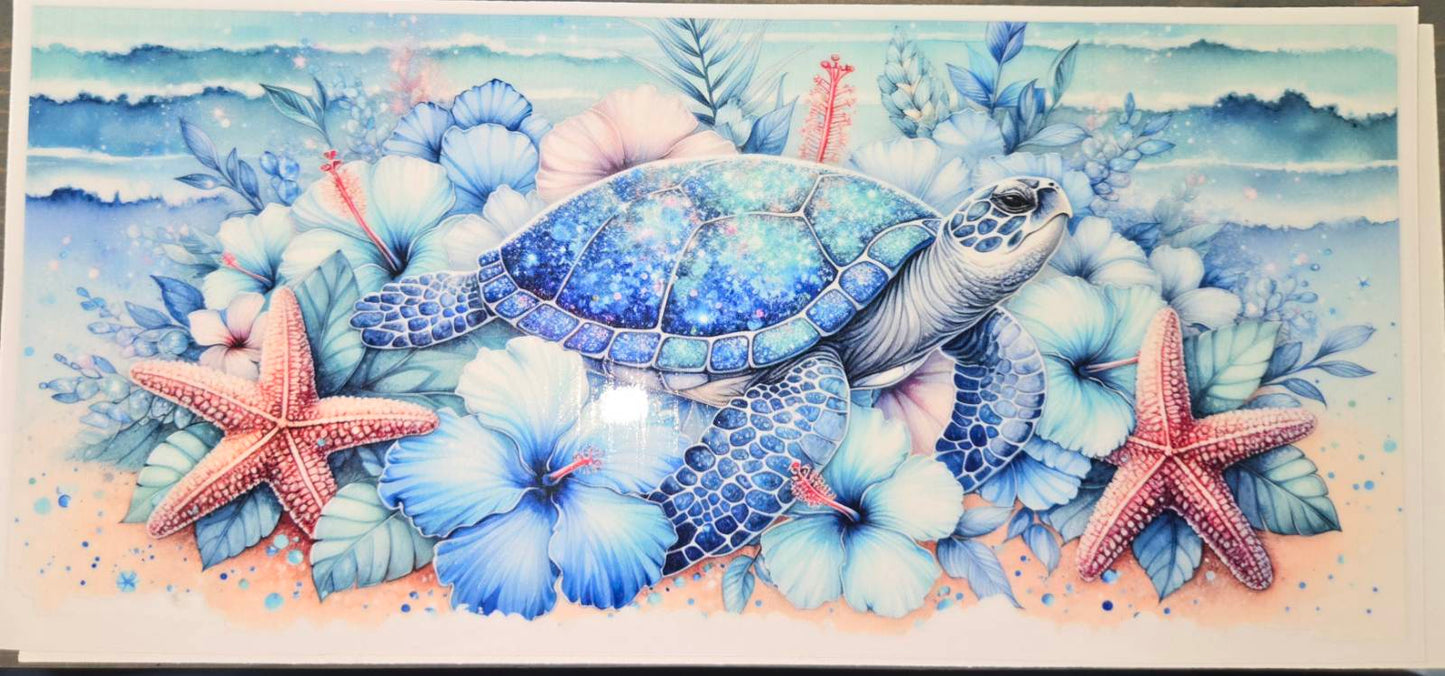 Sea Animals