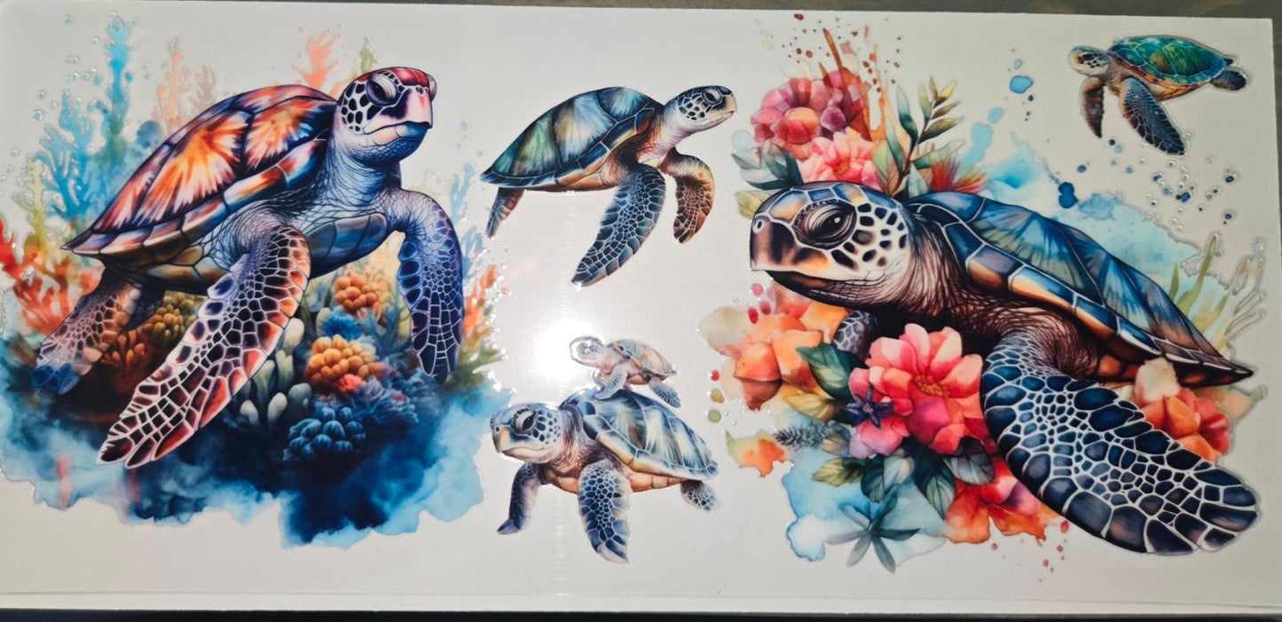 Sea Animals