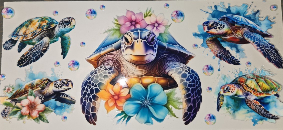 Sea Animals