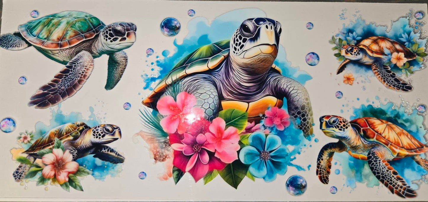 Sea Animals