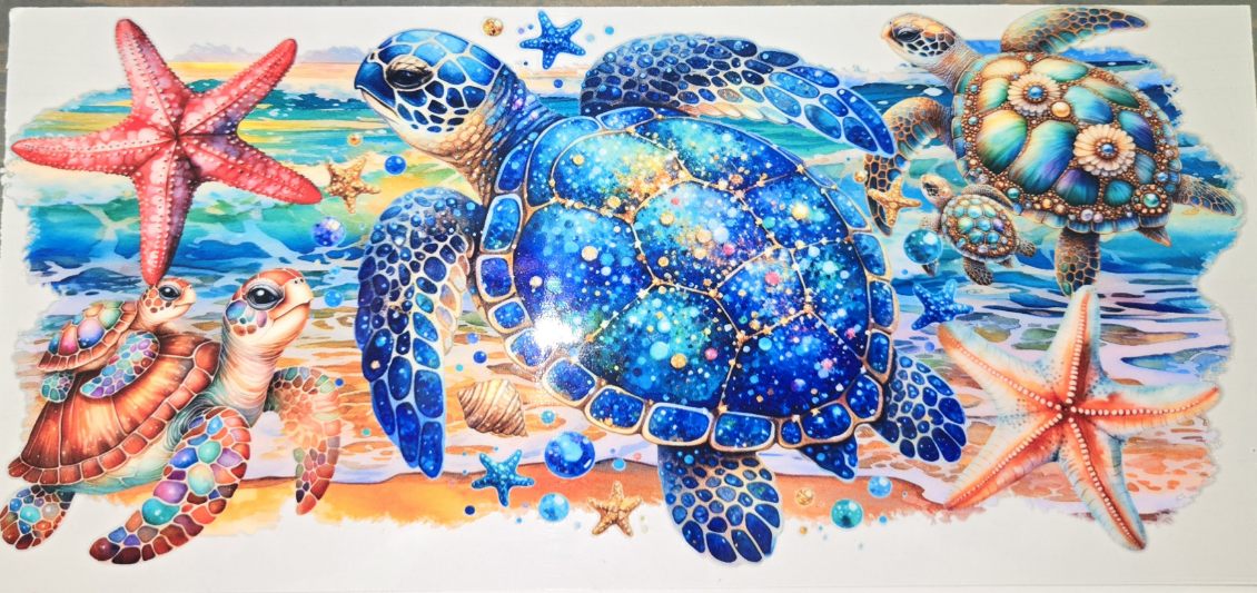 Sea Animals