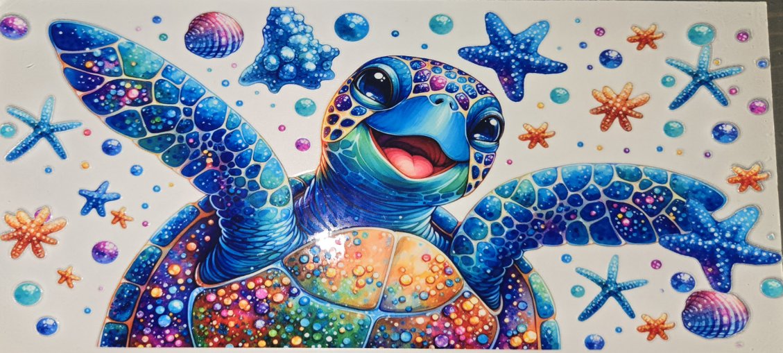 Sea Animals