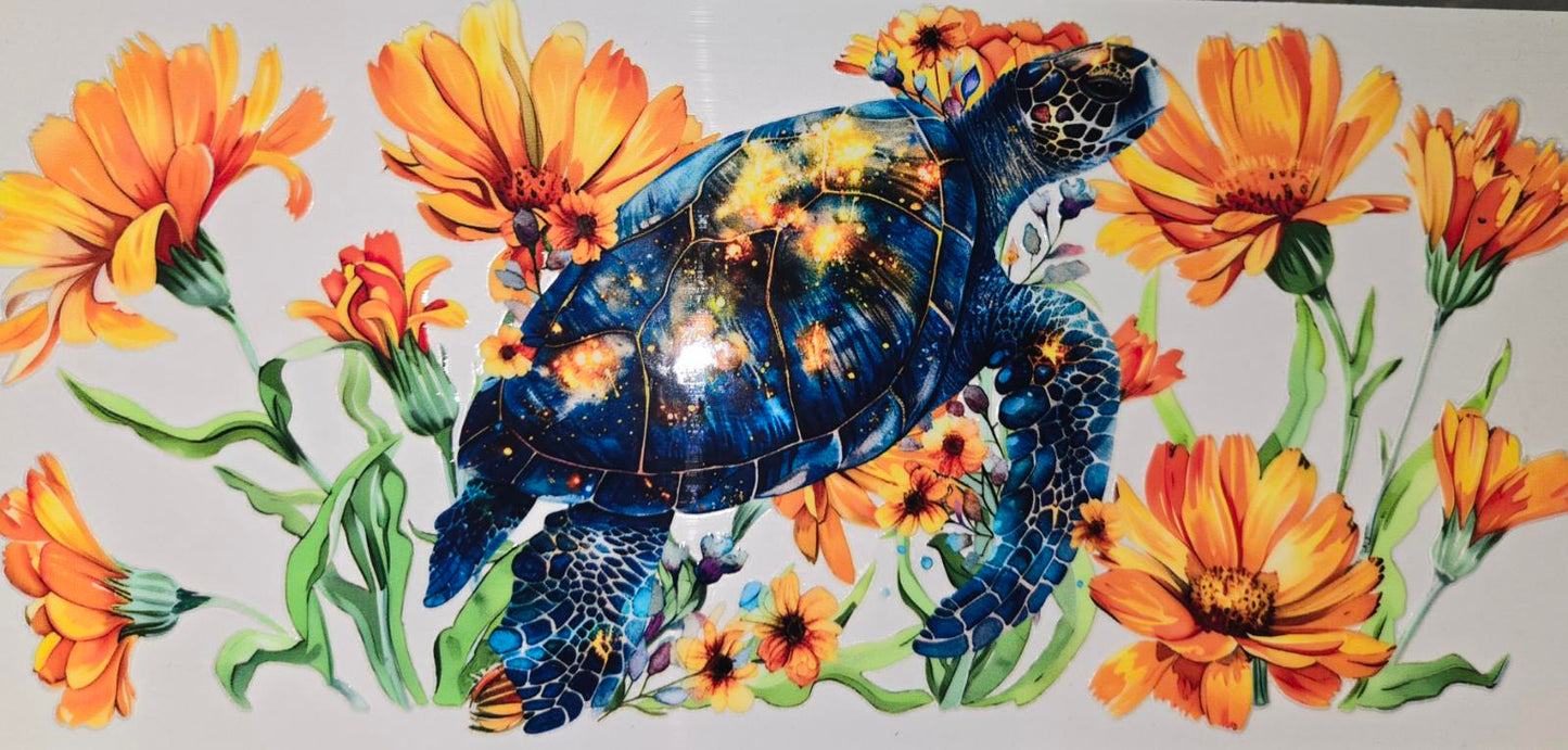Sea Animals