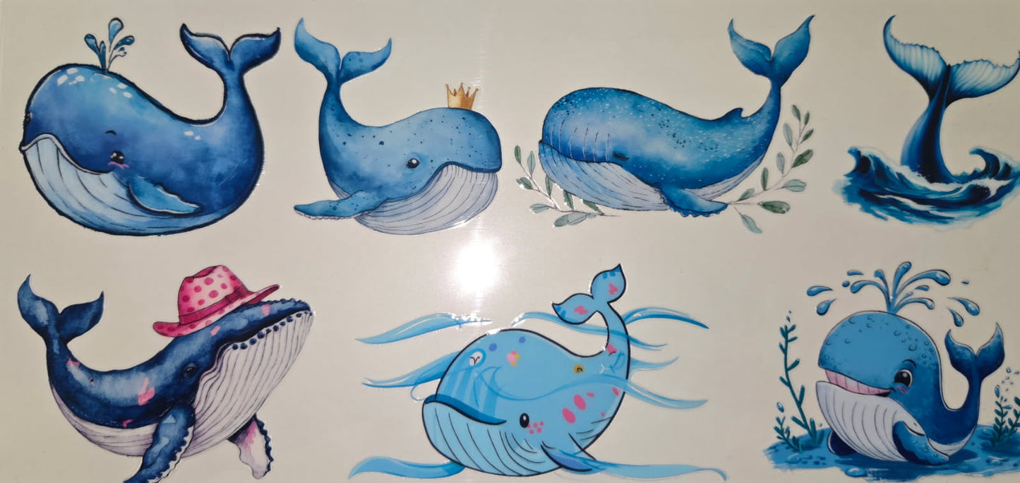 Sea Animals