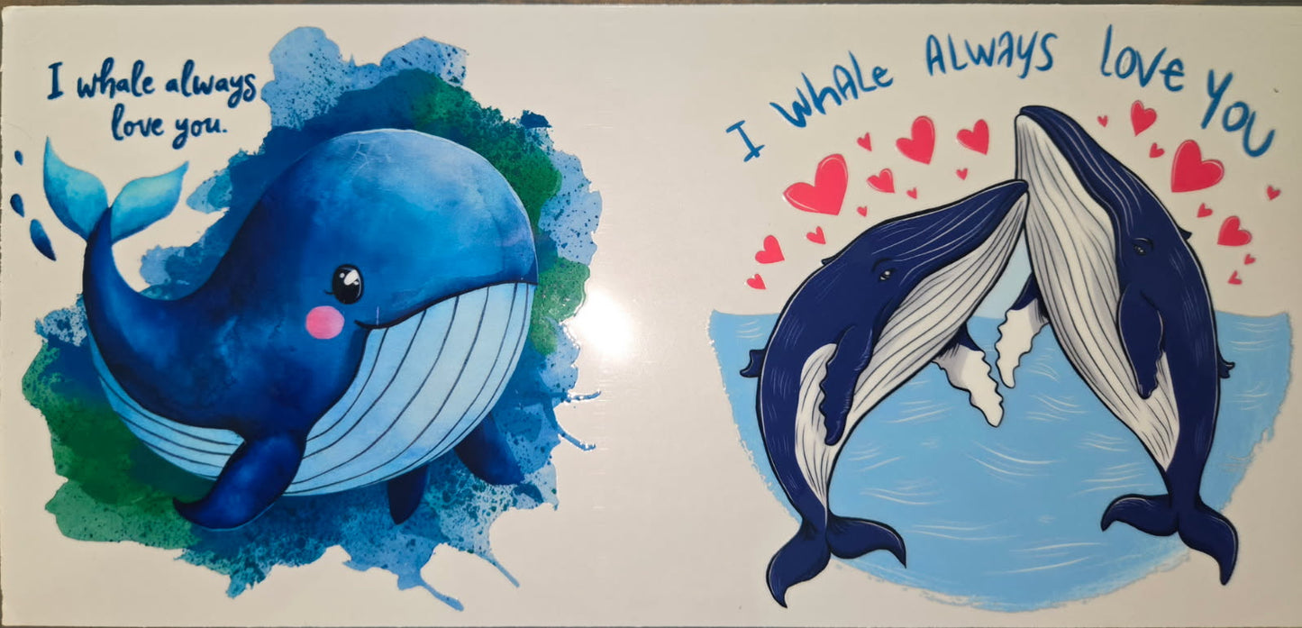 Sea Animals