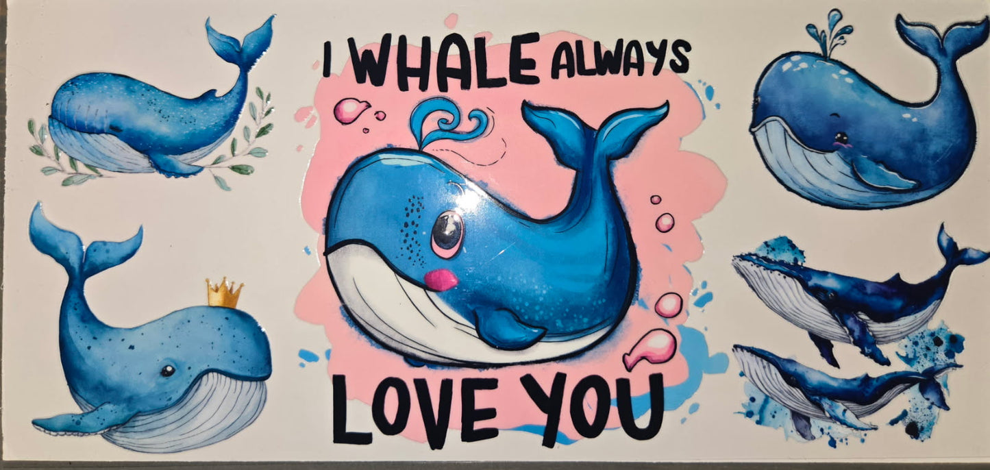 Sea Animals