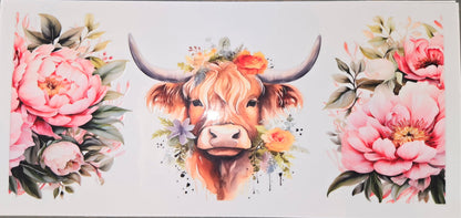 Highland Cows