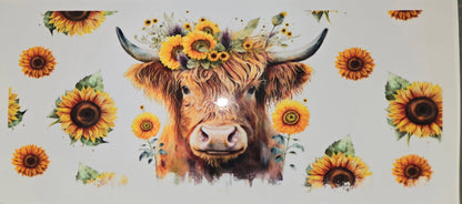 Highland Cows