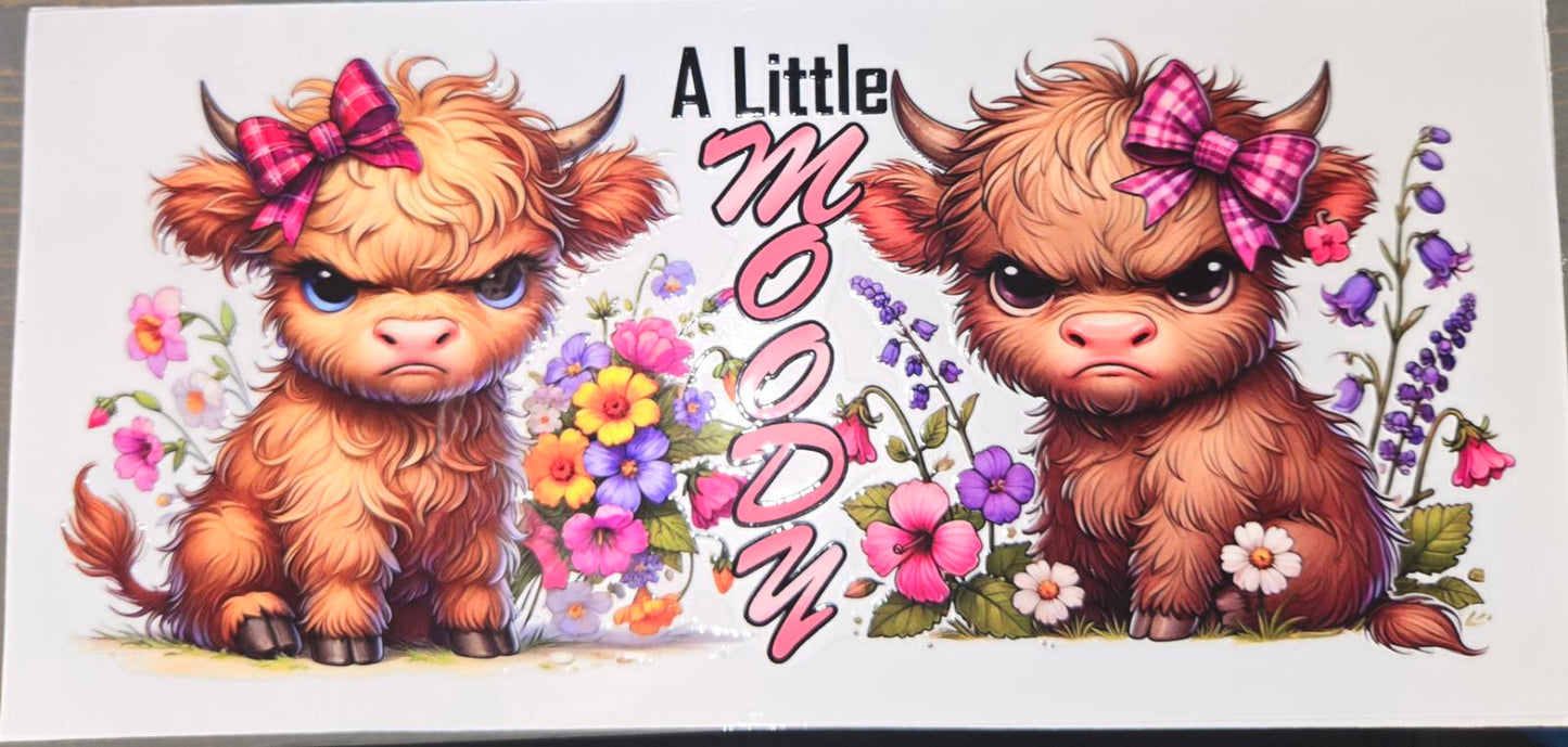 Highland Cows