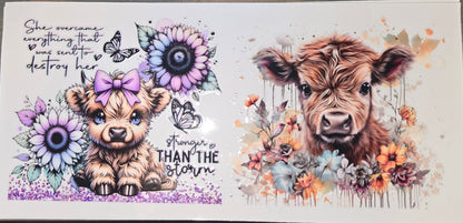 Highland Cows