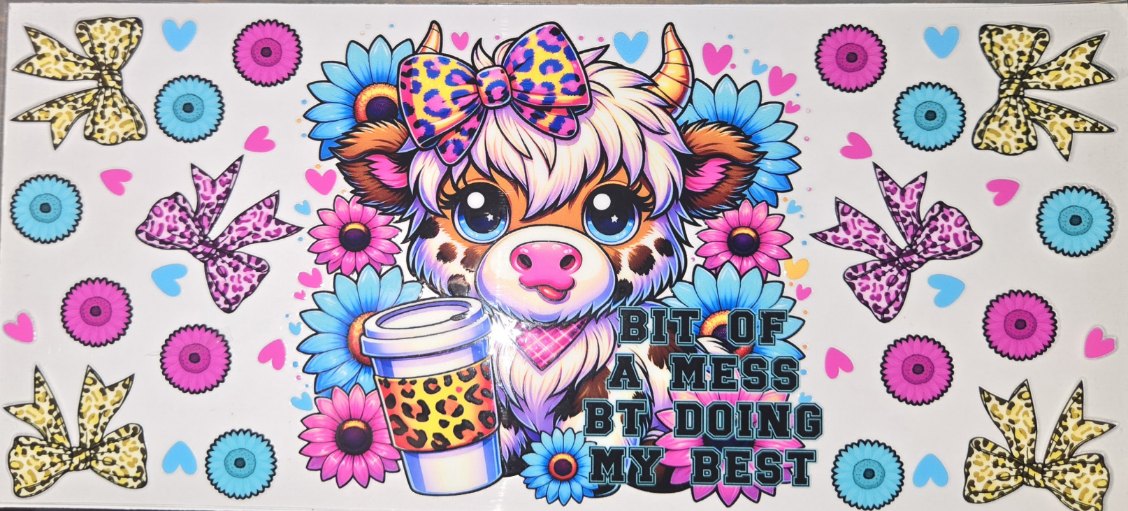 Highland Cows