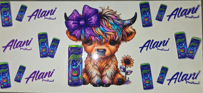 Highland Cows