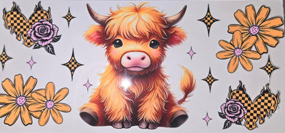 Highland Cows