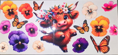 Highland Cows