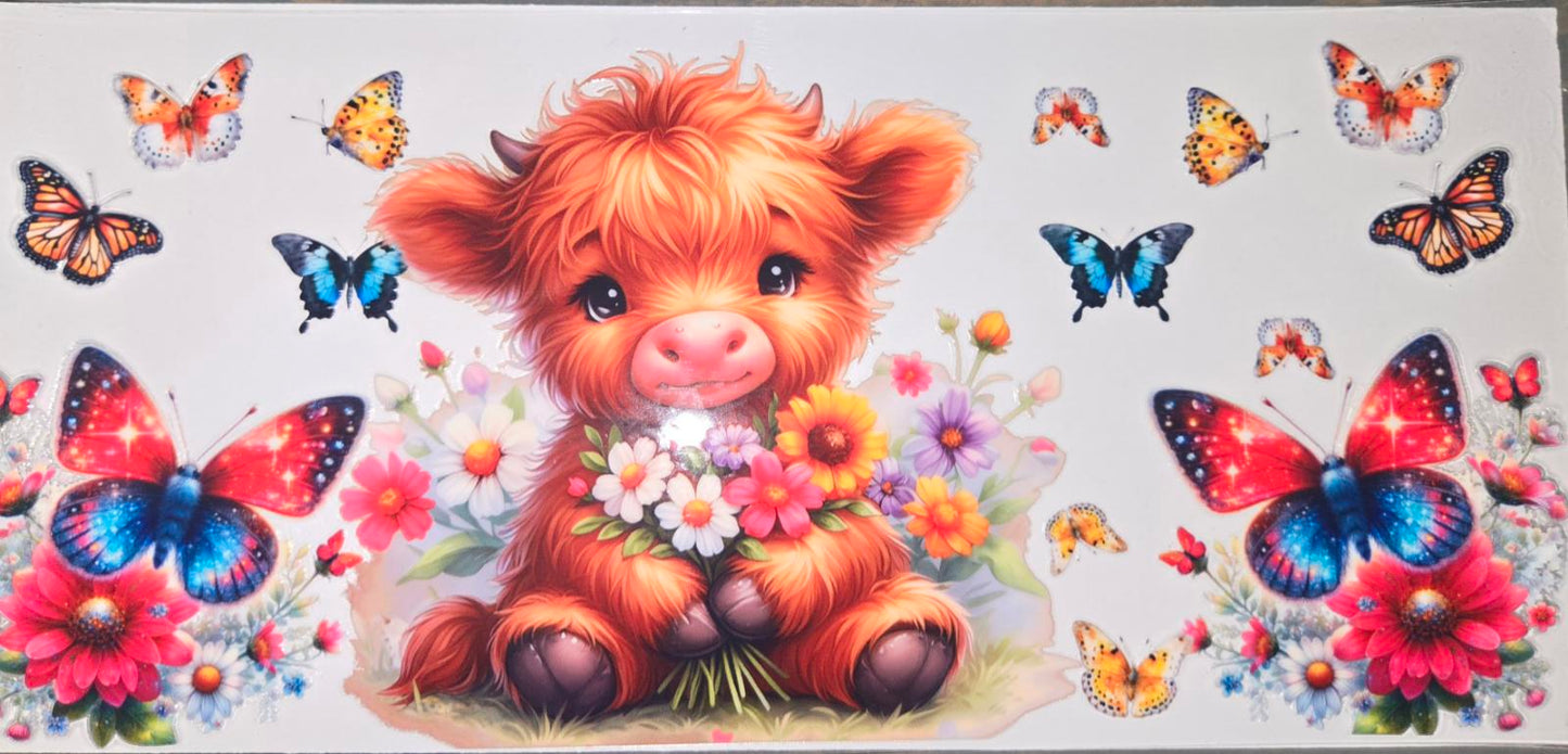 Highland Cows
