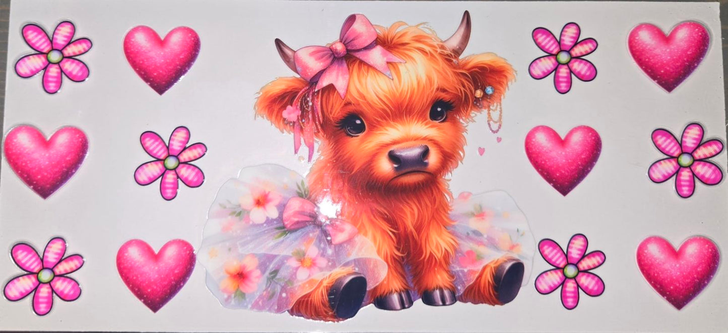 Highland Cows
