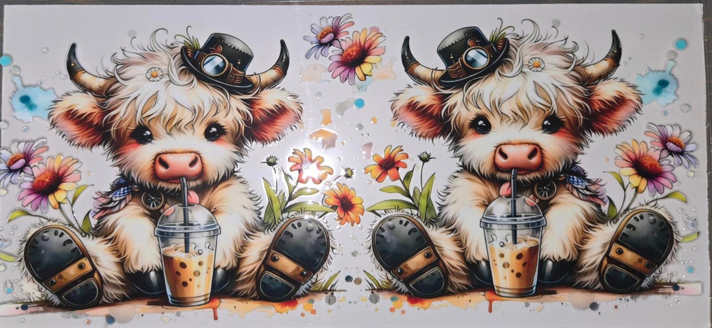 Highland Cows