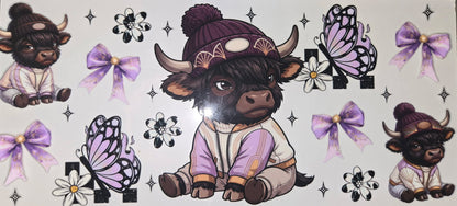 Highland Cows