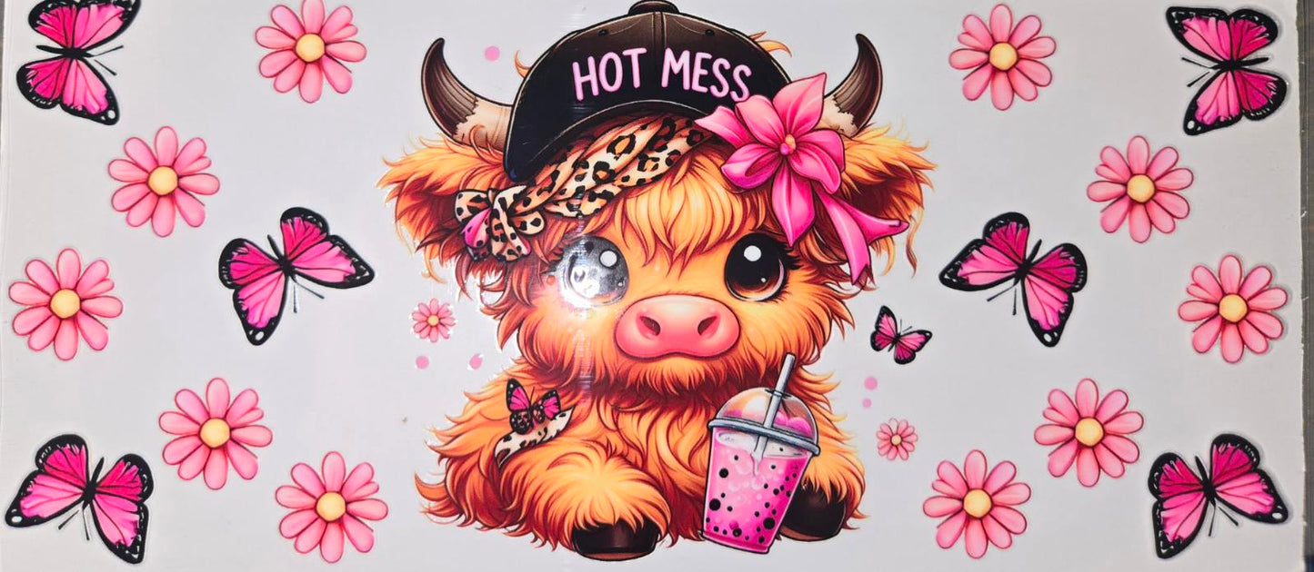 Highland Cows