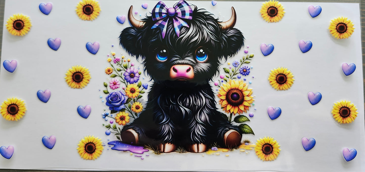 Highland Cows