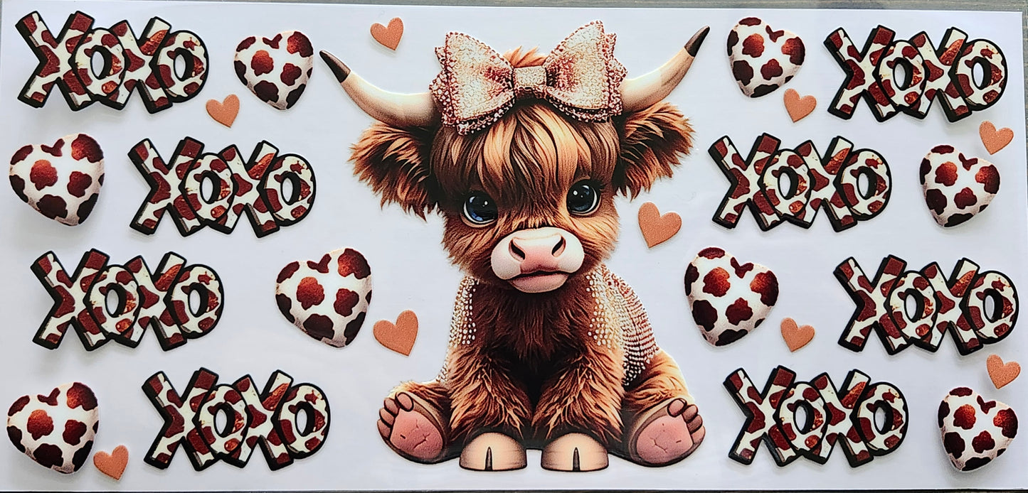 Highland Cows