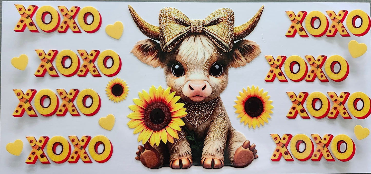 Highland Cows