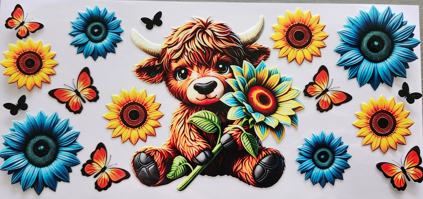 Highland Cows