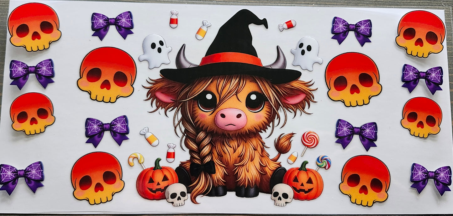 Highland Cows
