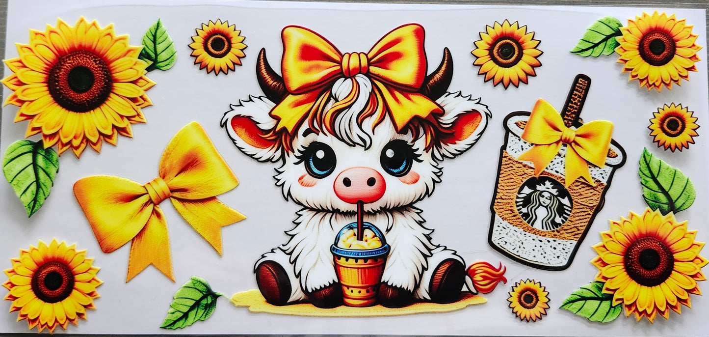 Highland Cows