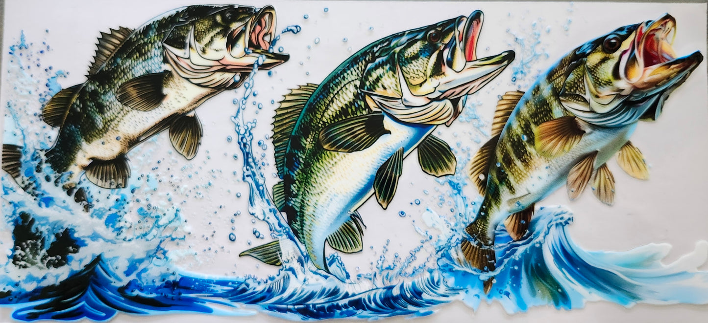Sea Animals