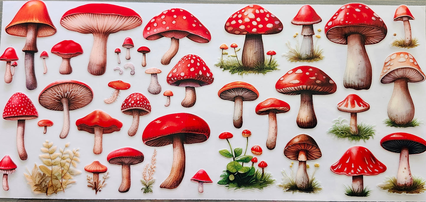 Miscellaneous