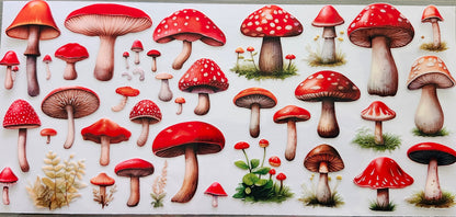Miscellaneous