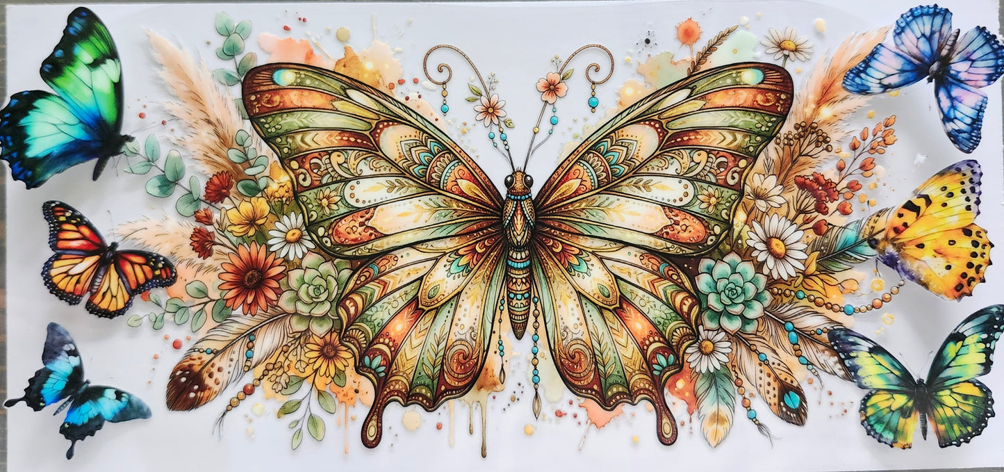 Butterfly