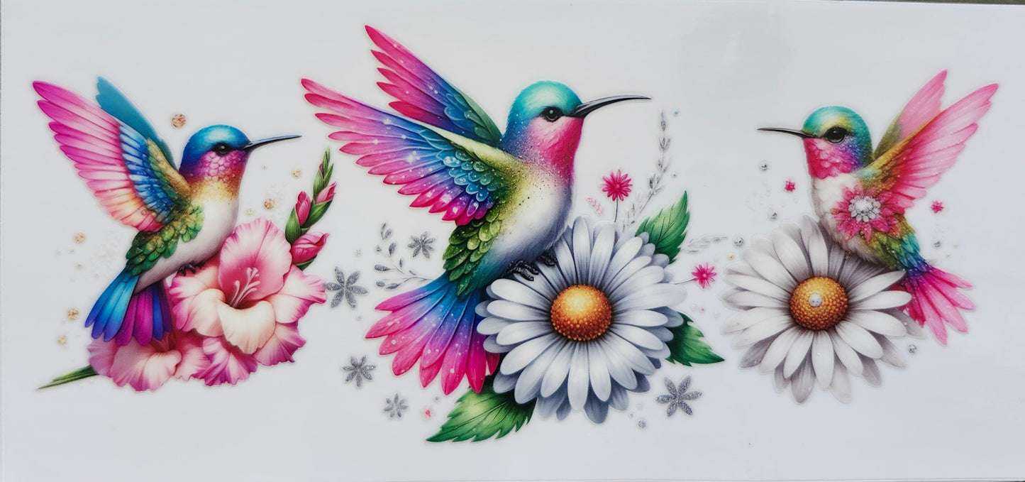 Birds