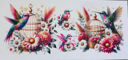 Birds