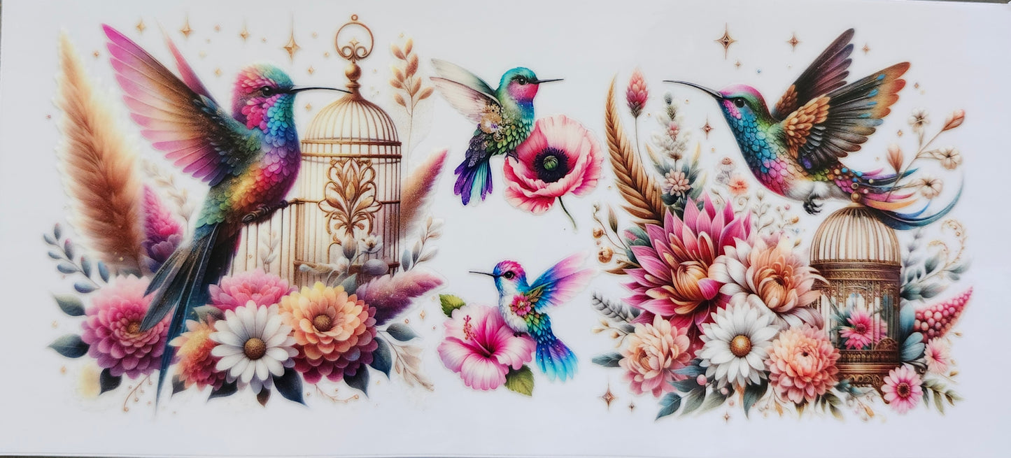 Birds