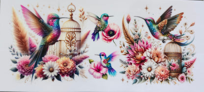 Birds