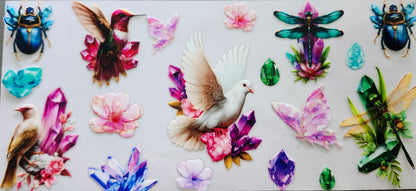Birds