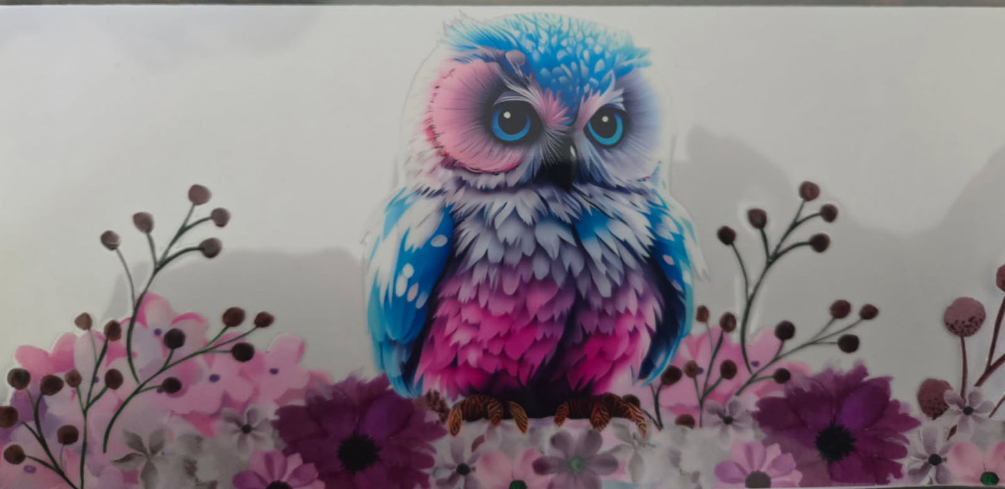 Birds